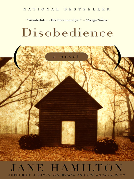 Title details for Disobedience by Jane Hamilton - Available